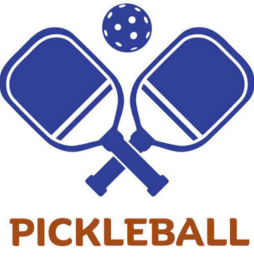 Sân Pickleball Số 86 Lê Trọng Tấn (Đối diện)