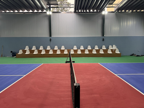 Pickleball X5