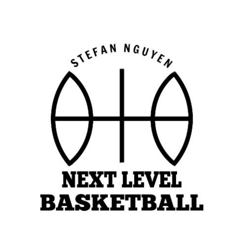 Next Level Basketball Court