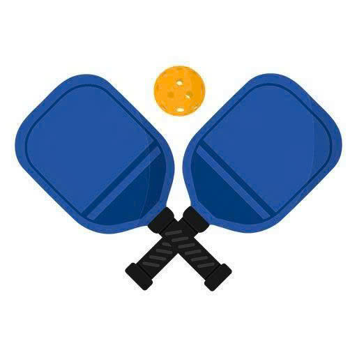 STEM PICKLEBALL