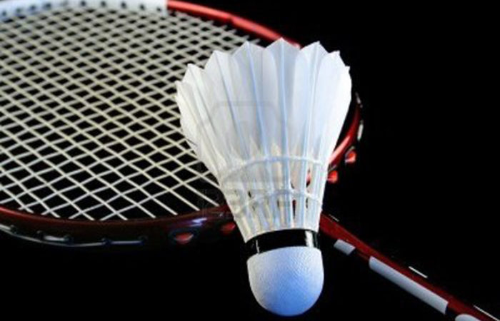 Pickleball Trung tâm Văn hoá - Thể thao, Thông tin và Du lịch quận Cầu Giấy